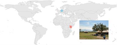 The Development of Prosocial Attention Across Two Cultures